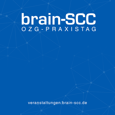 OZG-Praxistag 2021 © brain-SCC GmbH